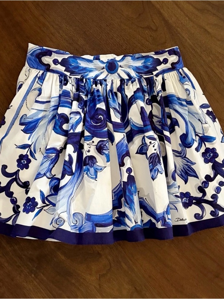 Dolce & Gabbana White And Blue Floral Circle Skirt